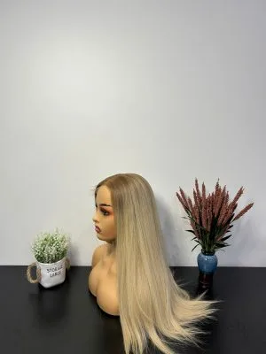 Wigs Hair 1